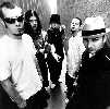 limpbizkit01.jpg (31015 octets)