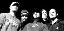 limpbizkit02.jpg (16192 octets)