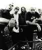 limpbizkit03.jpg (16297 octets)