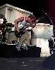 limpbizkit08.jpg (18004 octets)