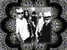 wallpaper04.jpg (123927 octets)