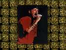 wallpaper13.jpg (102834 octets)